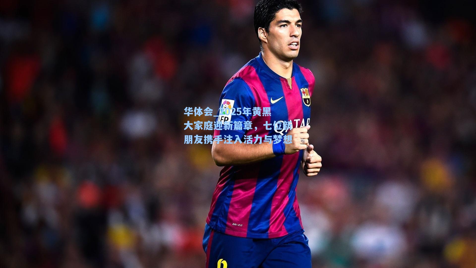 2025年黄黑大家庭迎新篇章,七位新朋友携手注入活力与梦想